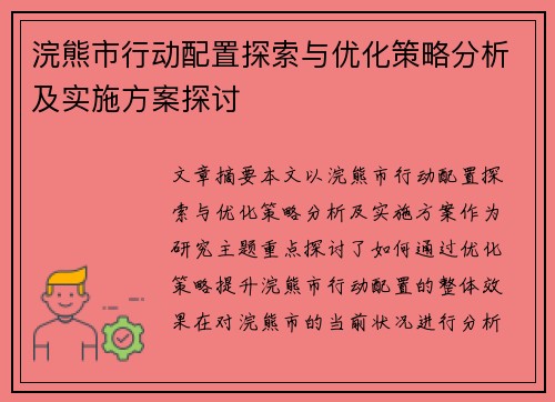 浣熊市行动配置探索与优化策略分析及实施方案探讨