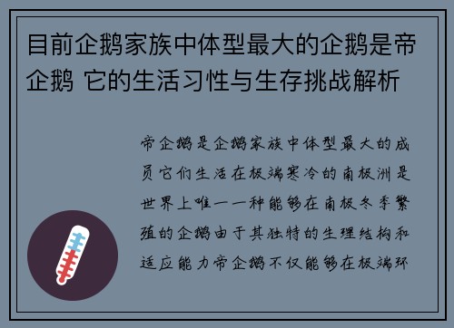 目前企鹅家族中体型最大的企鹅是帝企鹅 它的生活习性与生存挑战解析