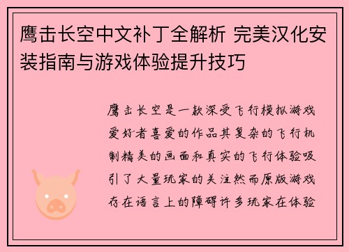 鹰击长空中文补丁全解析 完美汉化安装指南与游戏体验提升技巧